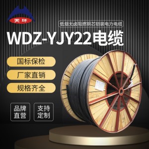 天环电缆 WDZC-YJY23铜芯 低压2芯低烟无卤阻燃 电缆线 国标纯铜