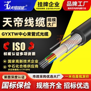 天帝光电复合缆GYXTW-4B1+RV2*1.0 铠装光电综合电缆 室外监控一体