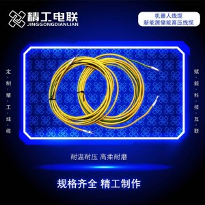 工控线束新能源电子连接端子线汽车工控线束伺服线电子连接线批发