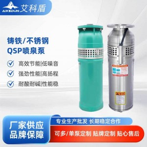 QSP水浸式铸铁喷泉泵景区音乐喷泉假山水泵不锈钢潜水泵厂家供应
