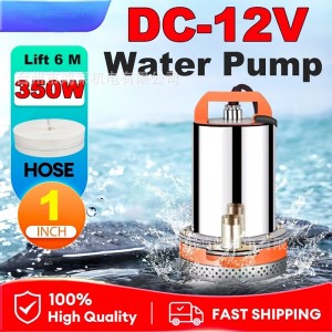 虾皮跨境直流潜水泵全铜水泵抽水小型电瓶车电动车抽水泵家用农用