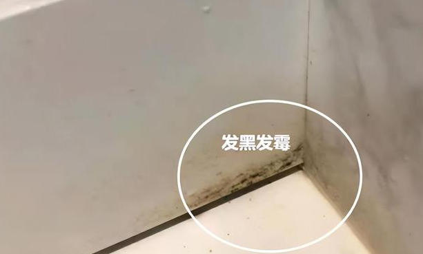 ScreenShot_2025-11-14_133316_221