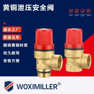 壁挂炉热水器配套黄铜泄水阀4分6分二通式封闭安全阀泄压 阀铜球阀