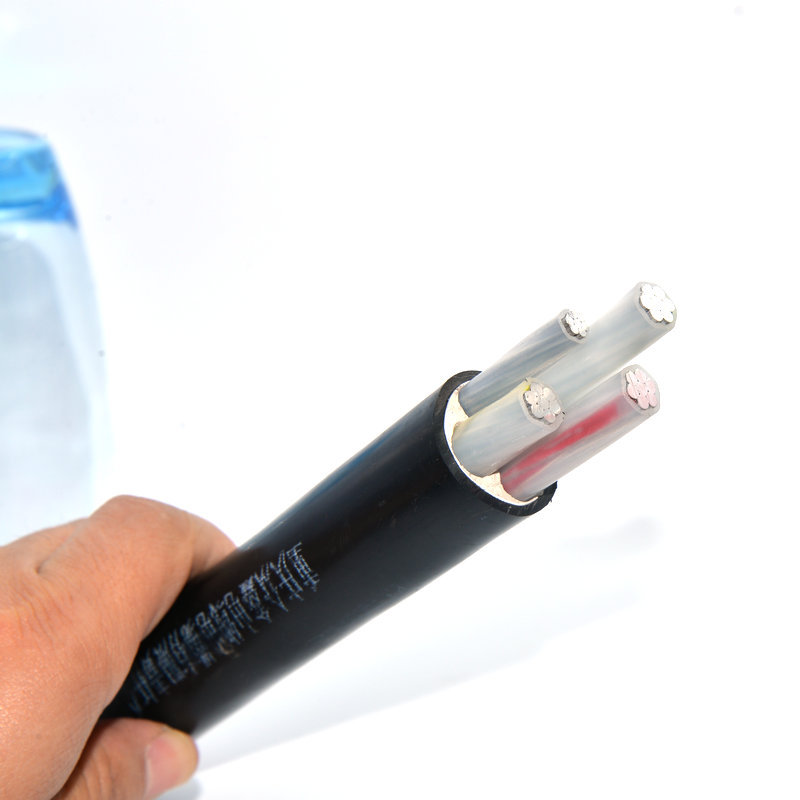 11948507365_1629638308