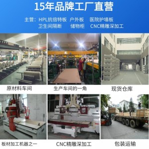 护墙板木饰面室内装修高压树脂HPL抗倍特洁净冰火板 实芯玻纤板