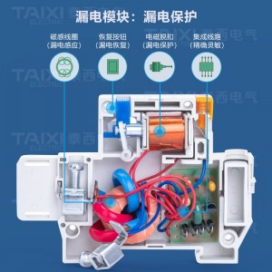 TAIXI 110V美标漏电断路器日本菲律宾2P空开单相过载短路保护开关